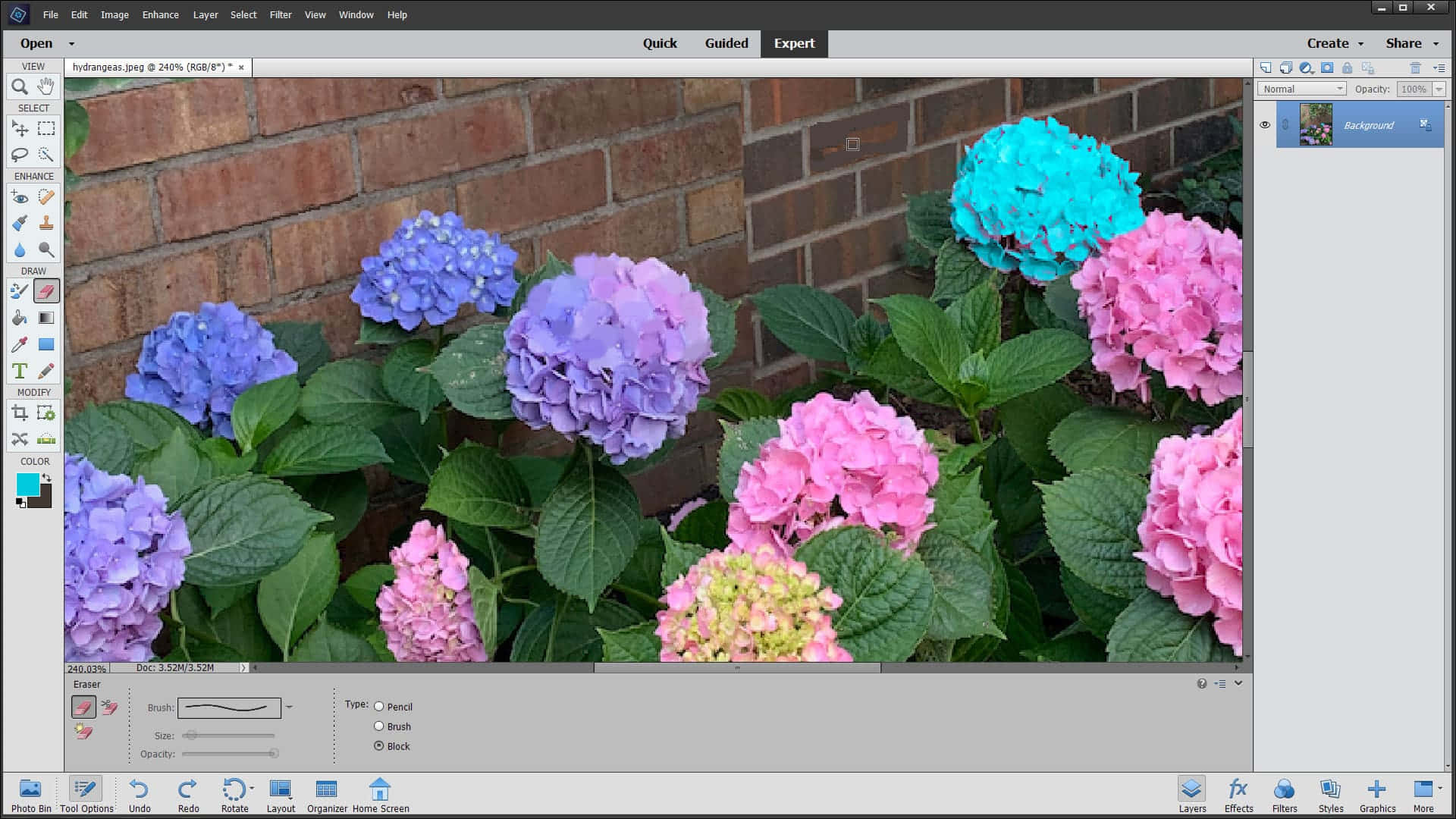 Photoshop Image Of Colorful Flowers Wallpaper