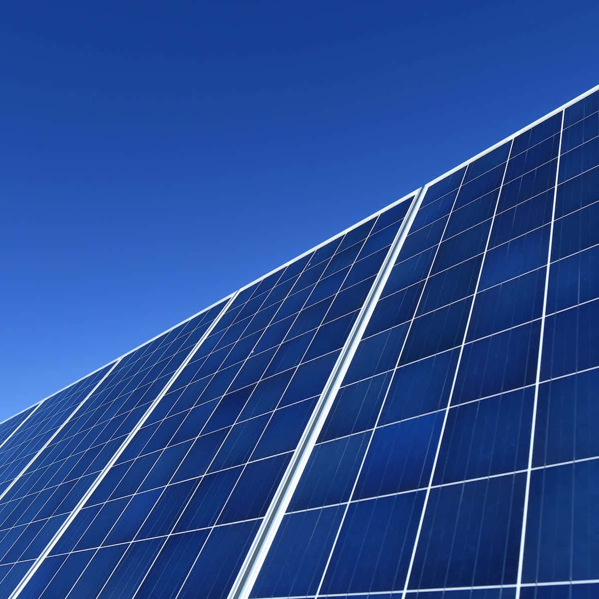 Photovoltaic Solar Panel Low Angle Shot Wallpaper
