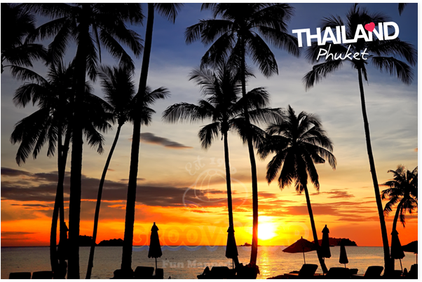 Phuket_ Sunset_ Palm_ Silhouettes PNG