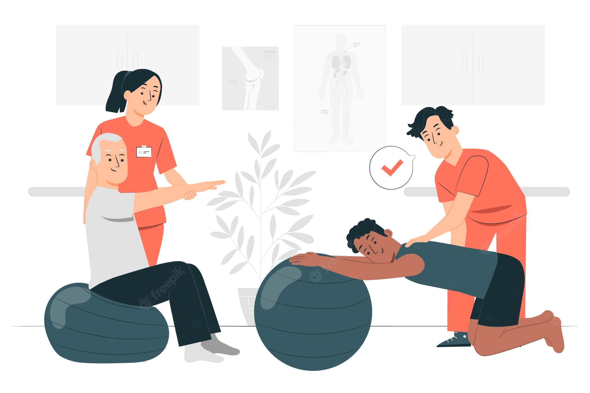 An animated guide to Physical Therapy Wallpaper