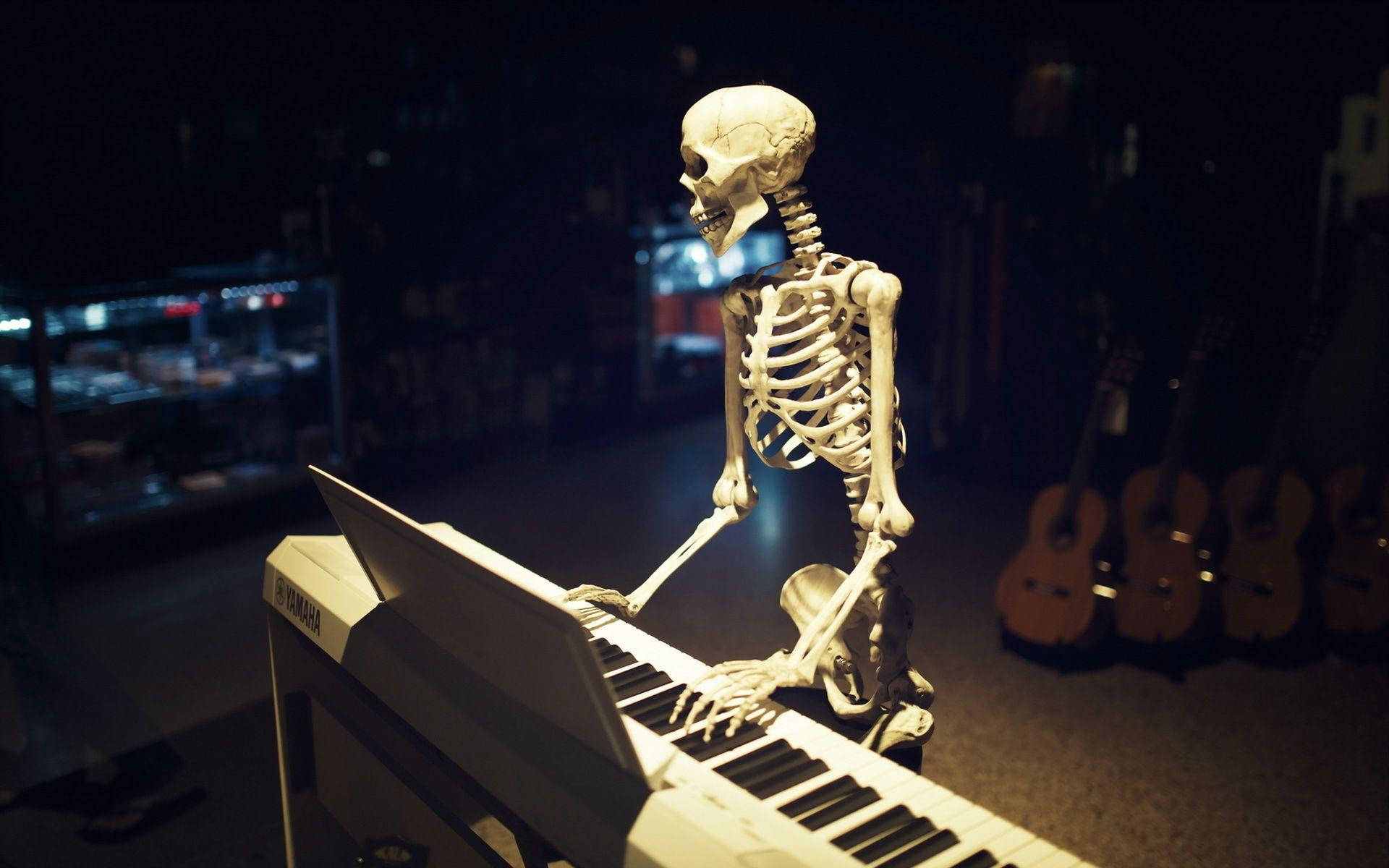 Escritoriodel Esqueleto Pianista Fondo de pantalla