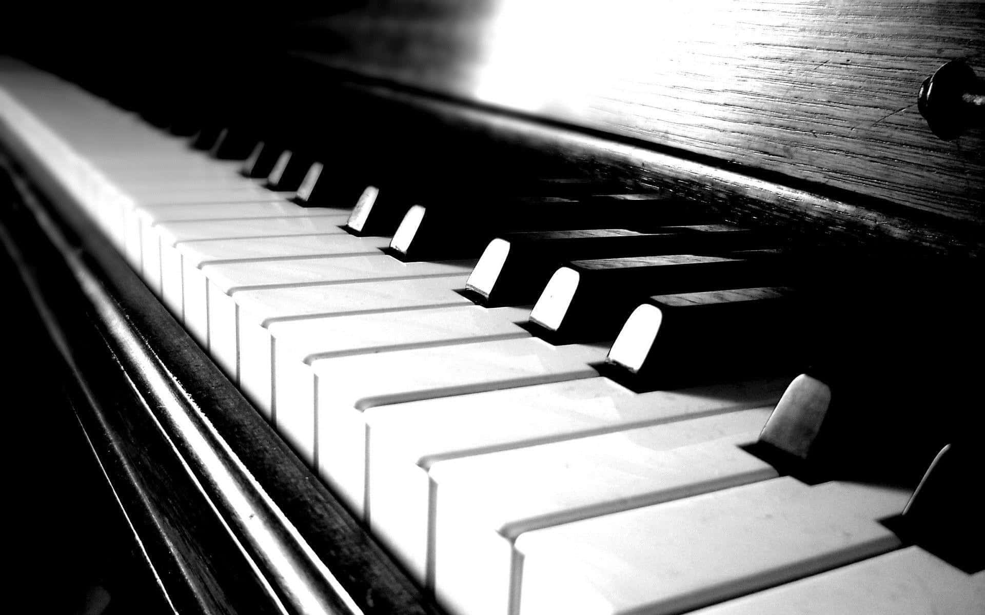 "Let the beauty of music fill your soul with a Piano in the background."