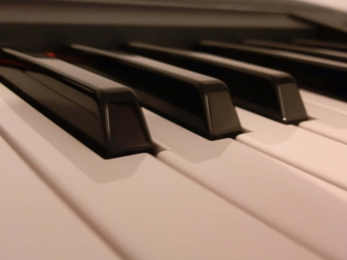 Listen to the beautiful music created by a beautiful black grand piano