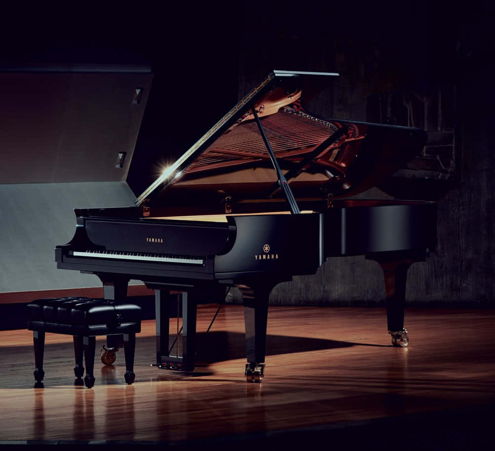 Unclassico Pianoforte A Coda In Una Sala Da Concerto