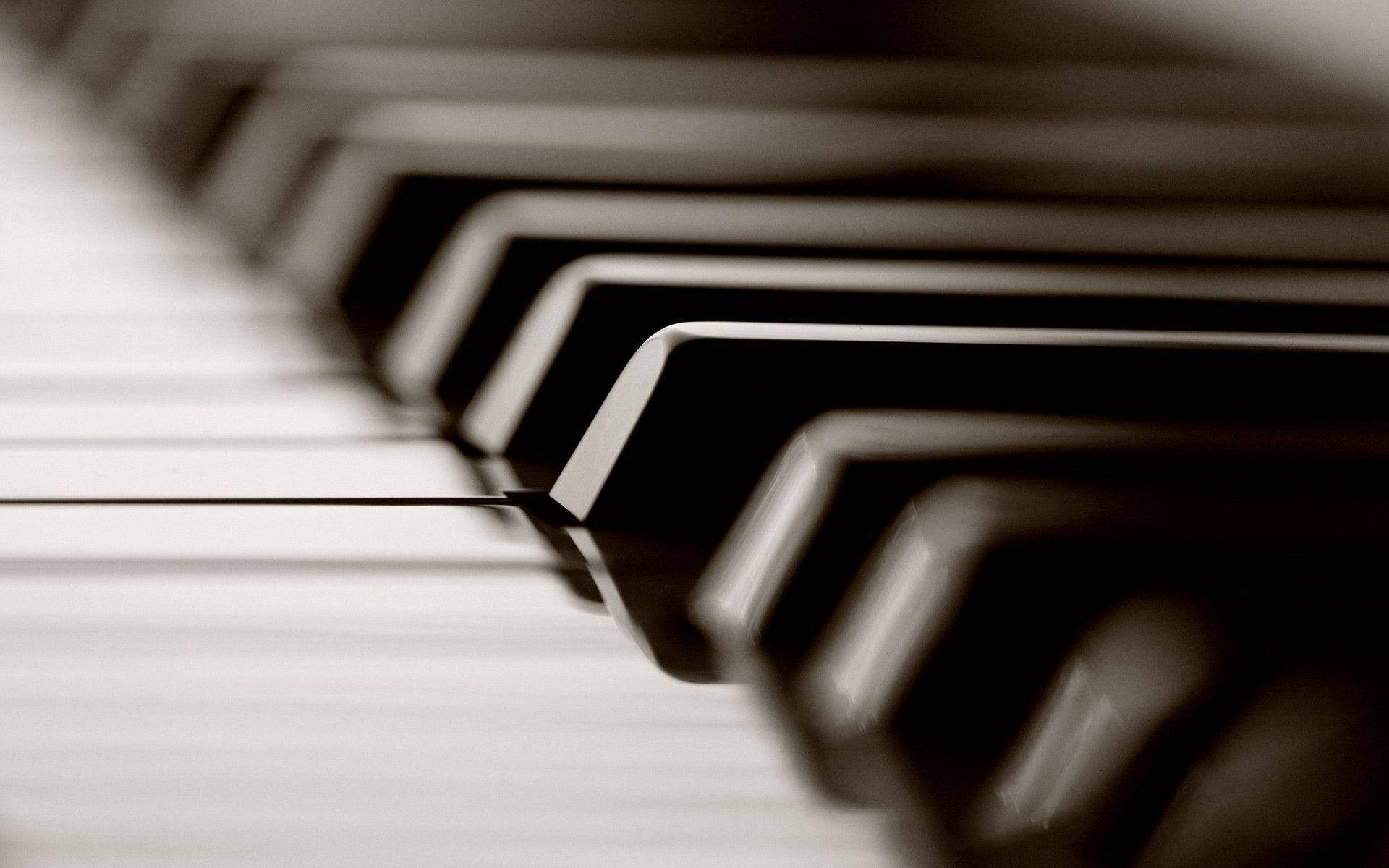 Piano Black Keys Close-Up Monochrome Wallpaper