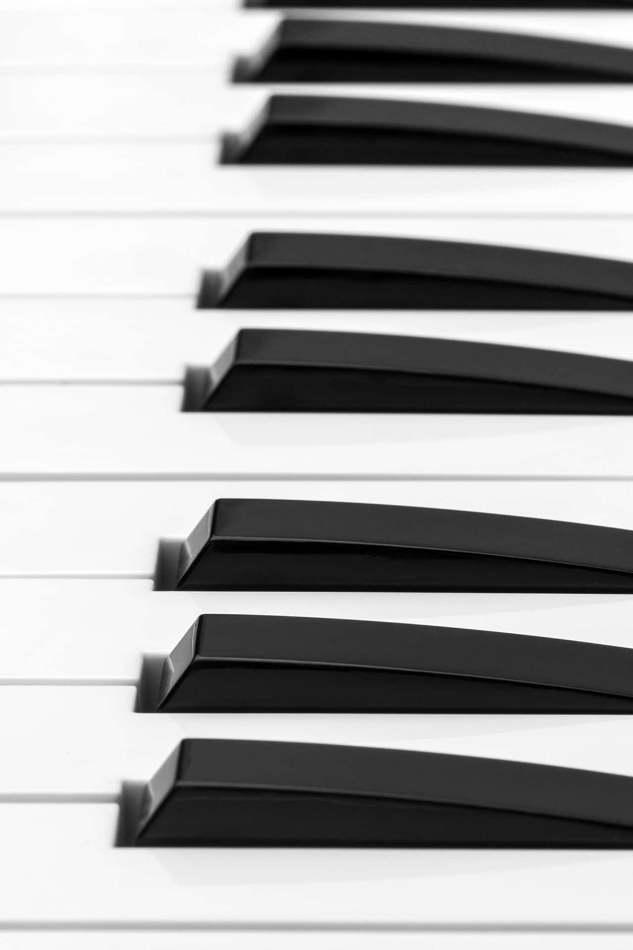 Piano Keys Aesthetic Blackand White Wallpaper