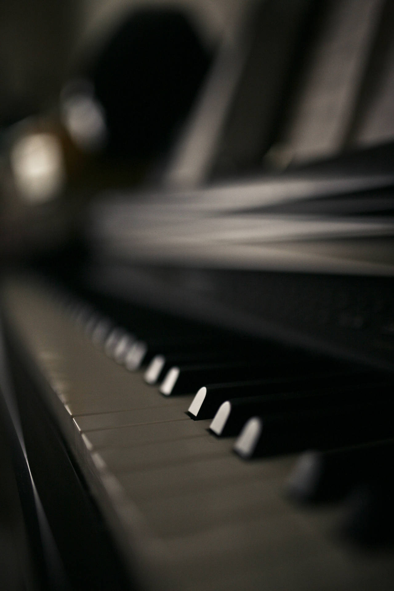 Piano Keys Macro Focus Photography Wallpaper