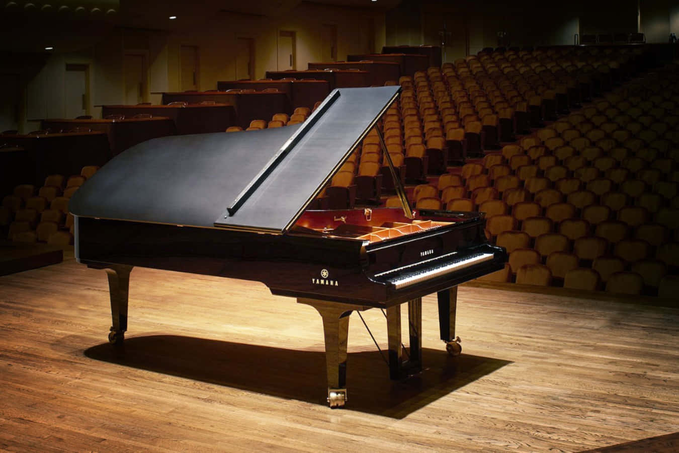 Enelegant Svart Yamaha-piano Omgiven Av Ljus.