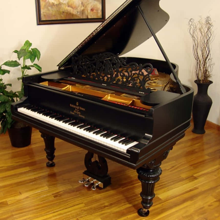 Einpianist Spielt Leidenschaftlich Eine Wunderschöne Melodie