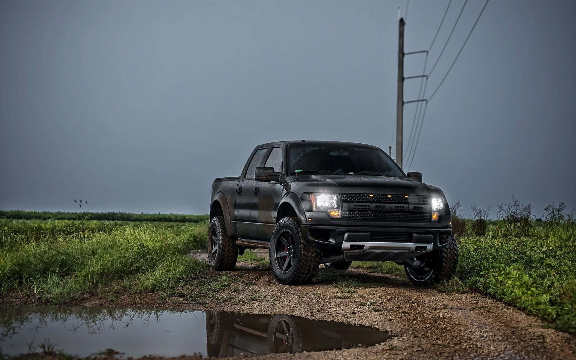 Ford F-150 Raptor - Hd Wallpapers