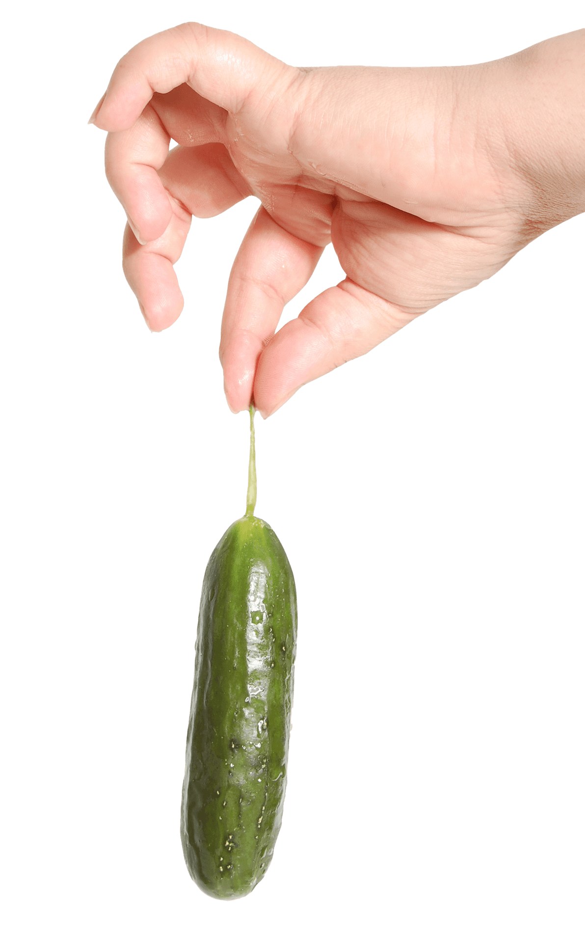 Pickle Dangling From Fingertips.jpg PNG