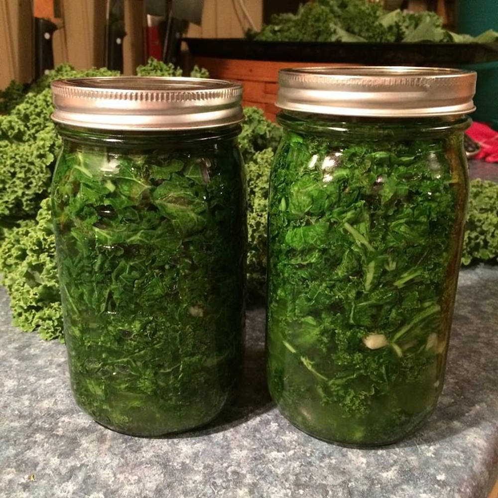Pickled Kale Jar Wallpaper