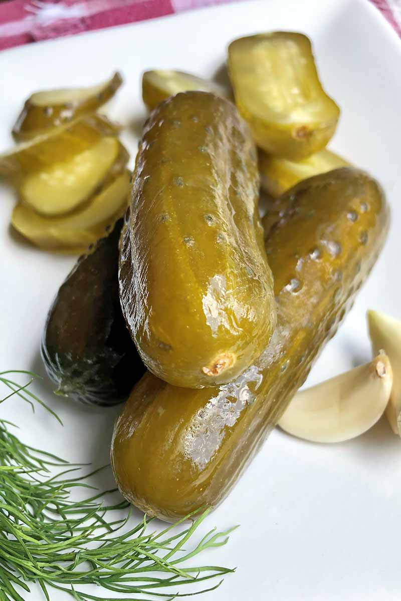 Pickles With Garlic And Dill