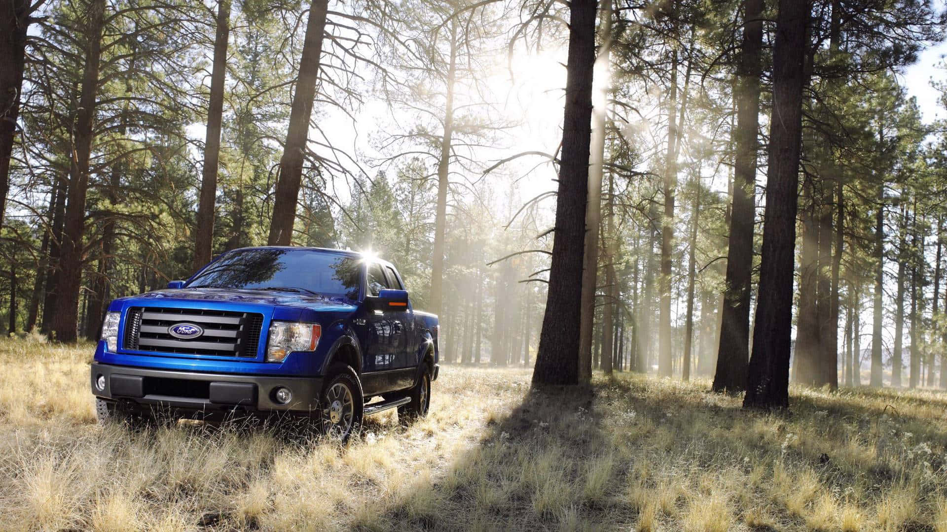 Pickup Truck Blue 2009 Ford F-150 Forest Photography Wallpaper