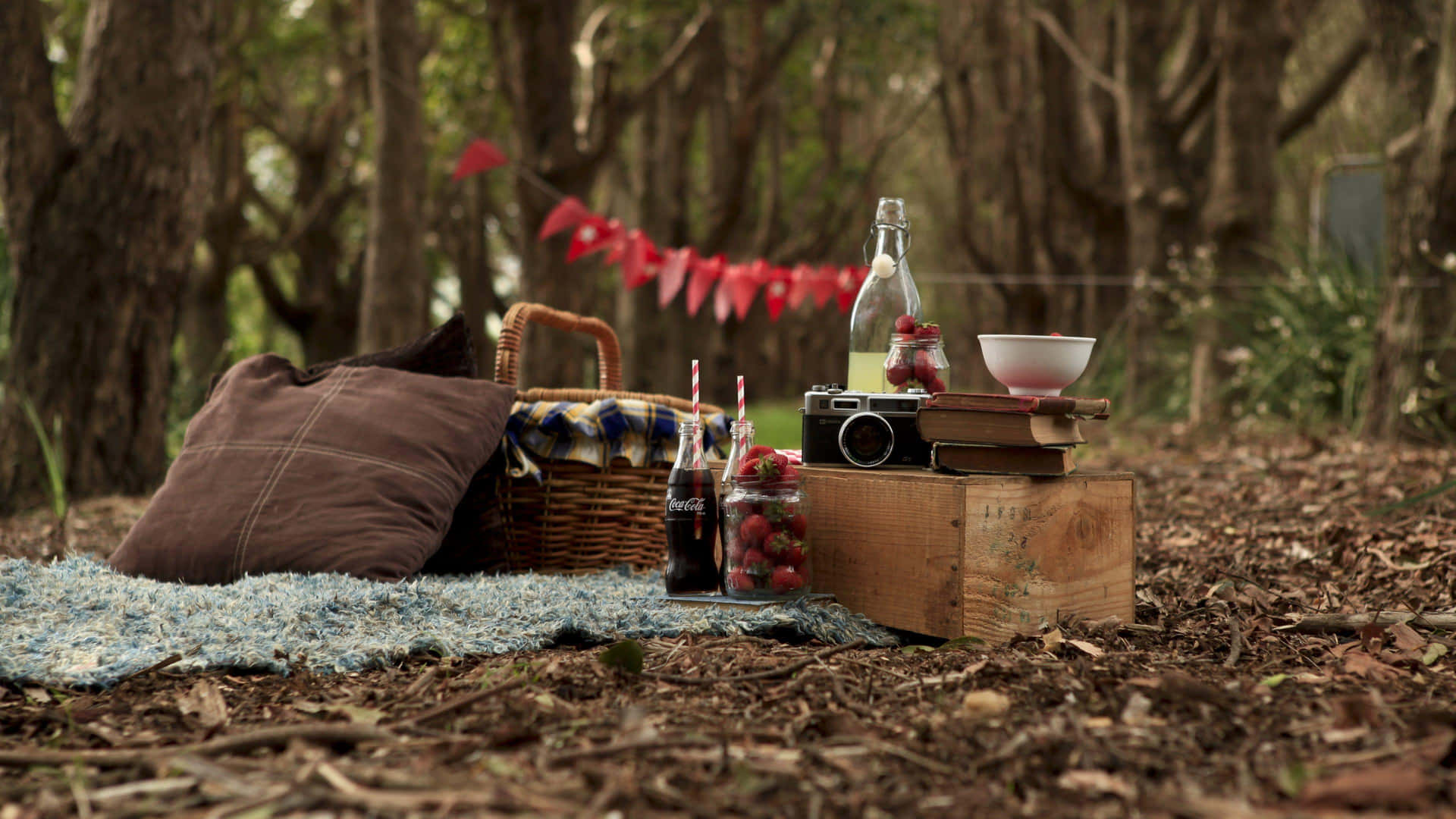 Picnic Set Up In The Forest Picture