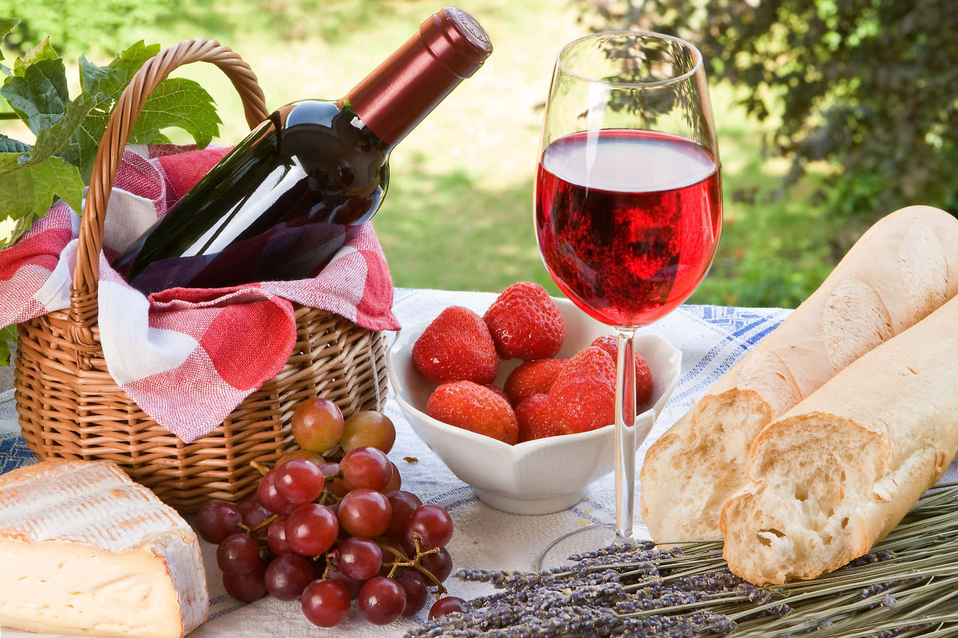 Picnic Set Up With Wine And Berries Picture
