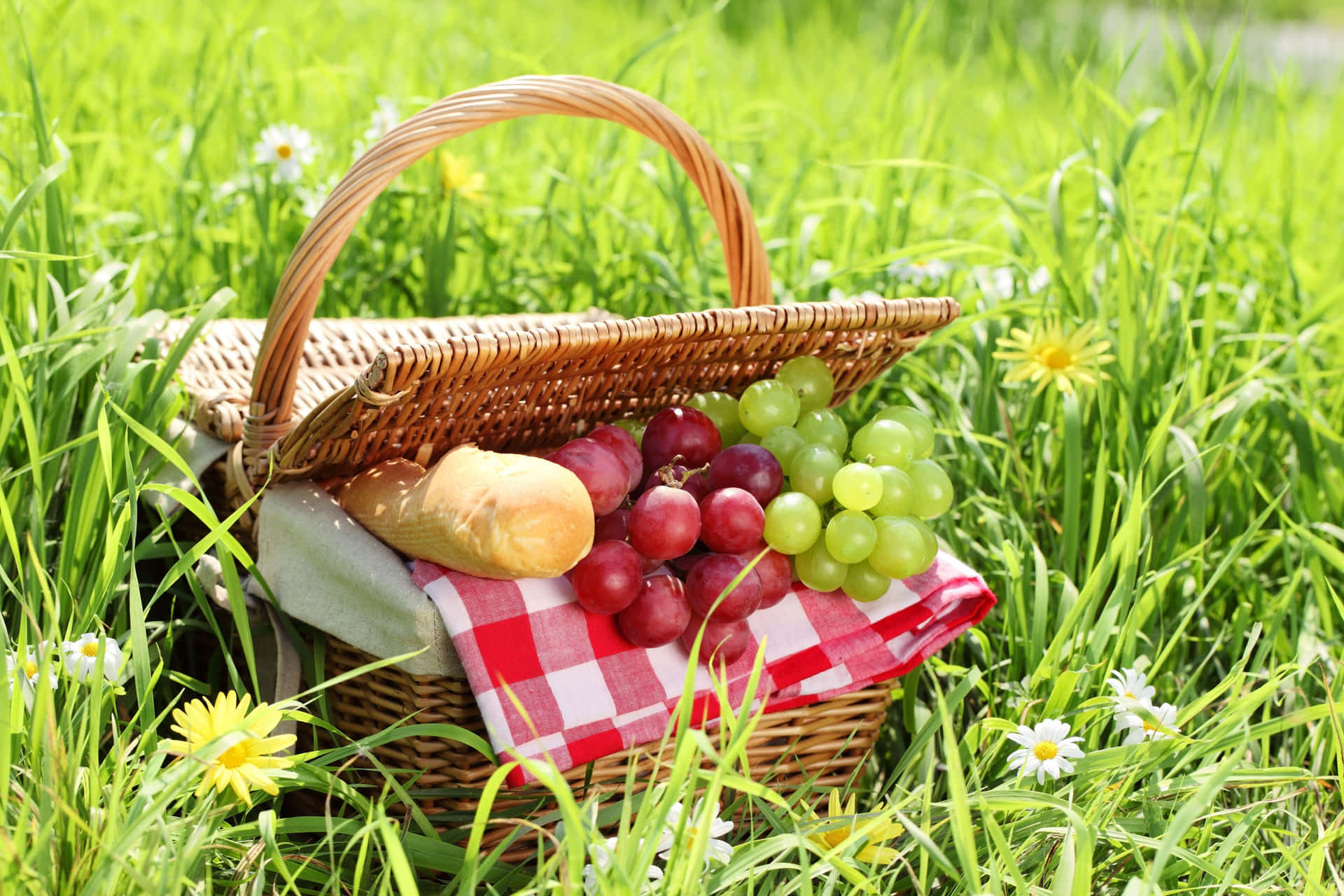 Picnic Basket With Grapes Picture