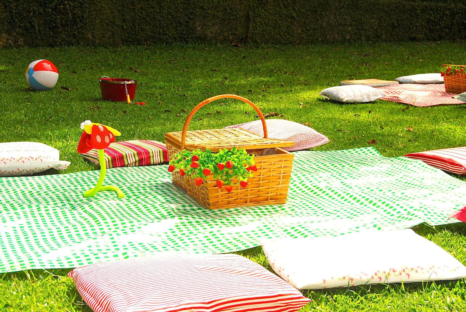 Picnic Set Up With Pillows Around Picture