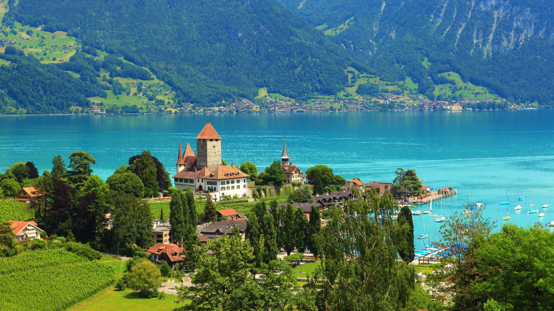 Picperfect View Of Thun, Switzerland Wallpaper