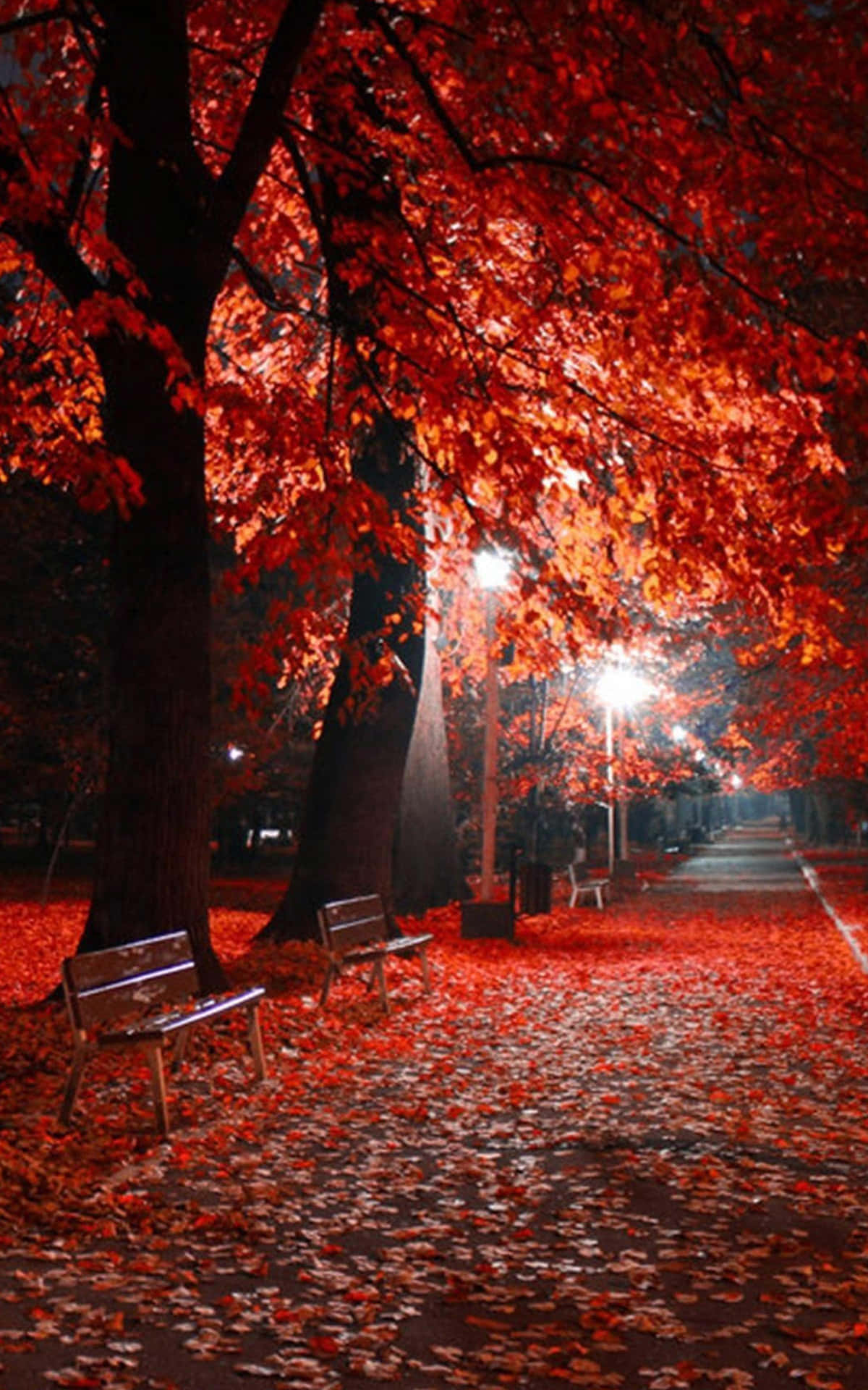 Picturesque Autumn Landscape