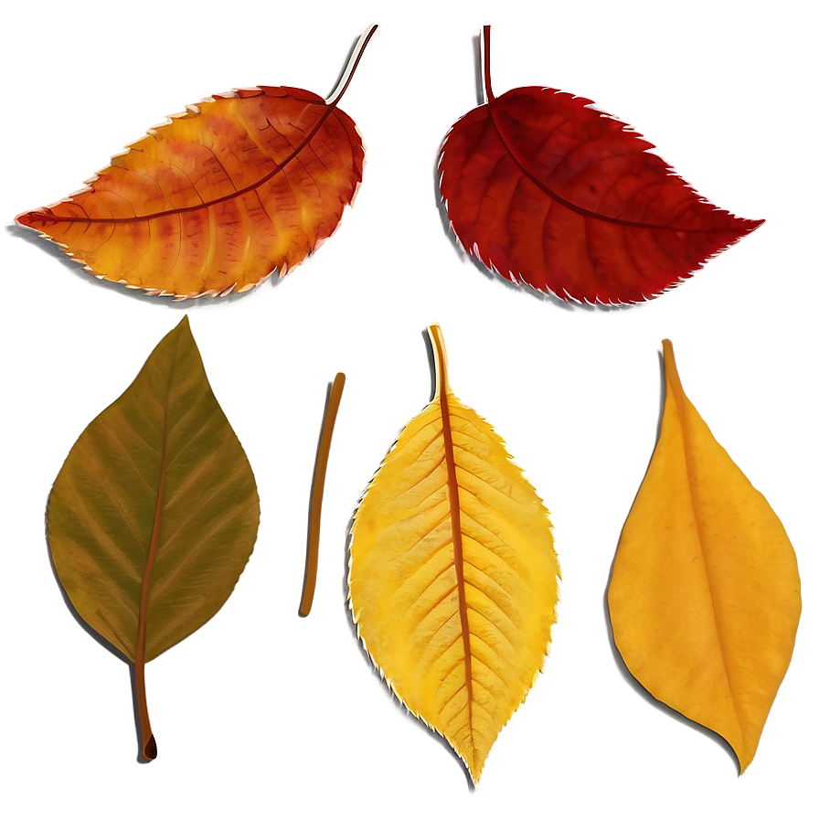 Picturesque Autumn Leaves Png 48 PNG