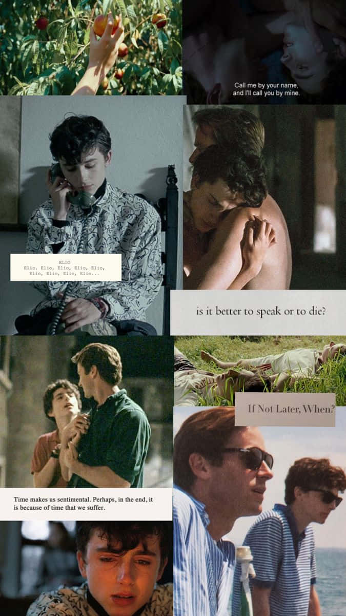41 Call me by your name wallpaper ideas  call me name wallpaper your  name wallpaper