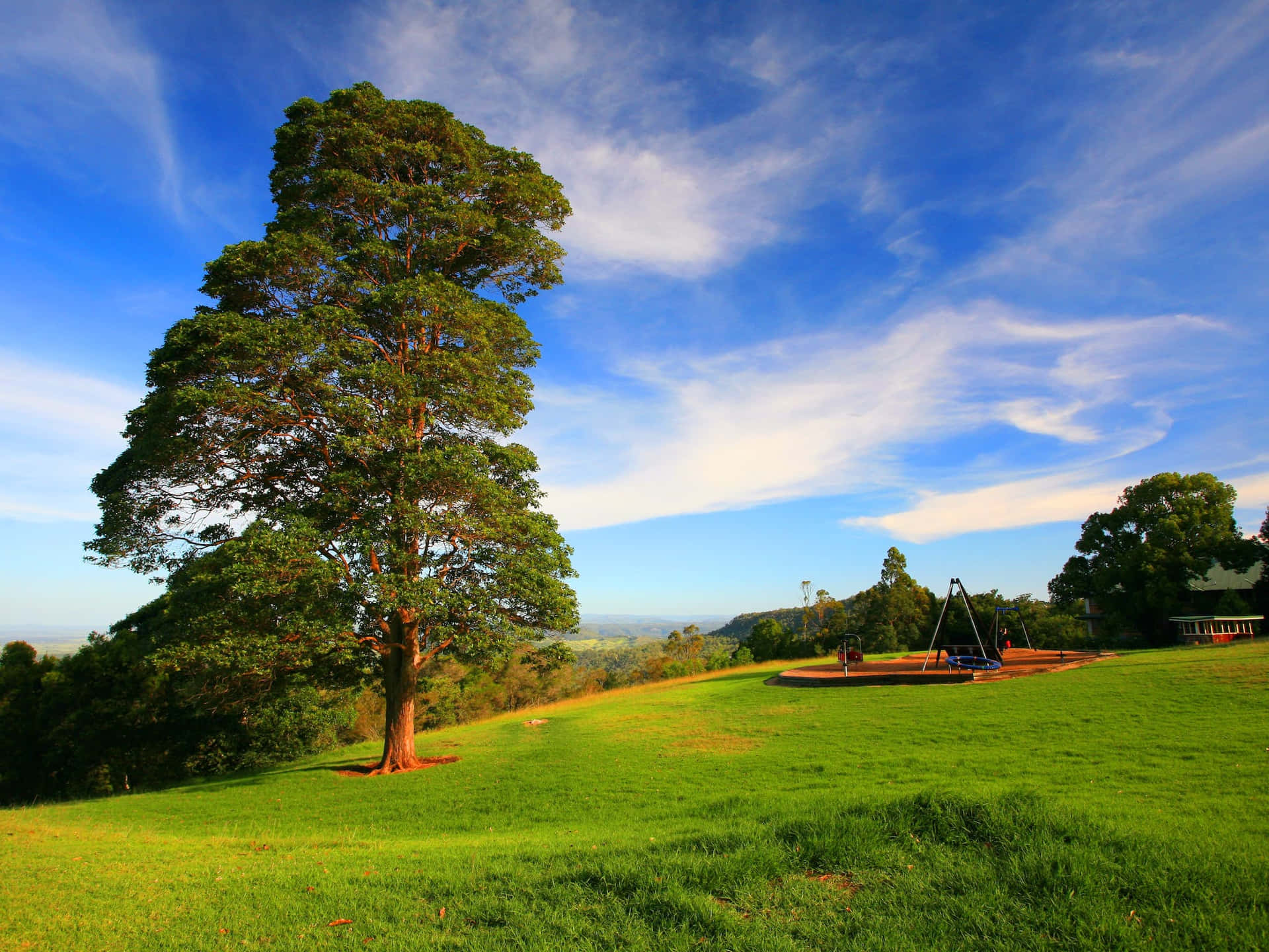 Picturesque View Of Toowoomba Landscape Wallpaper