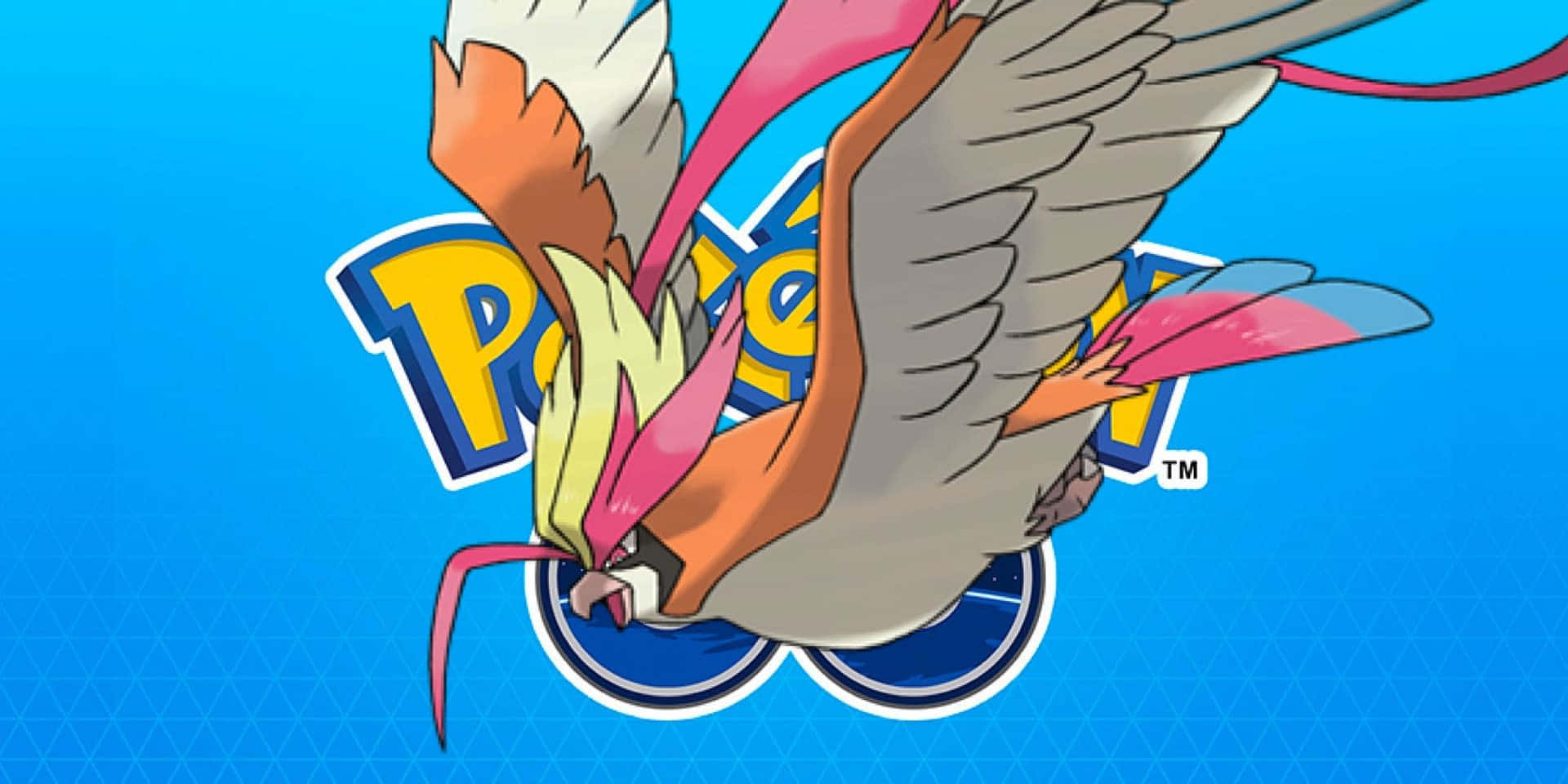 Pidgeotto Flying Against Blue Wallpaper