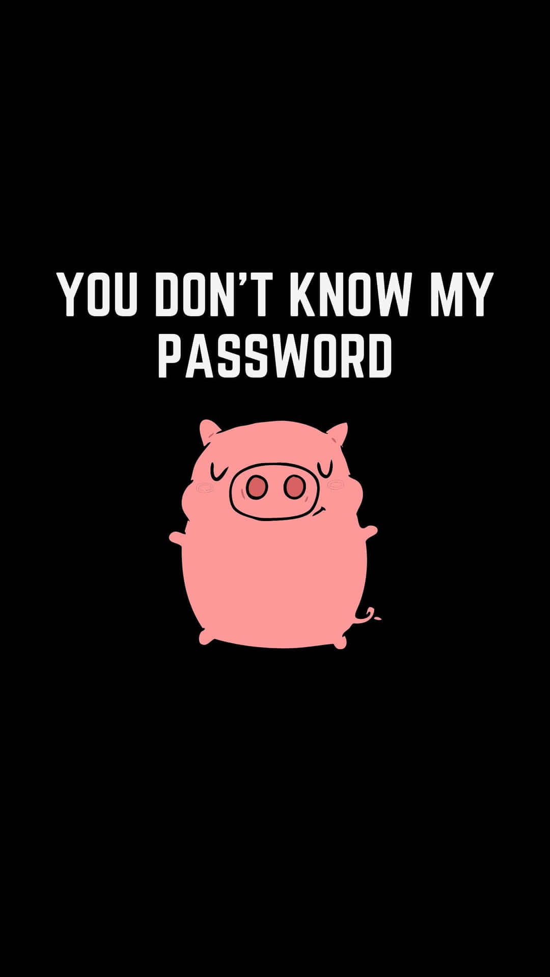 Pig Password Statement Wallpaper Wallpaper