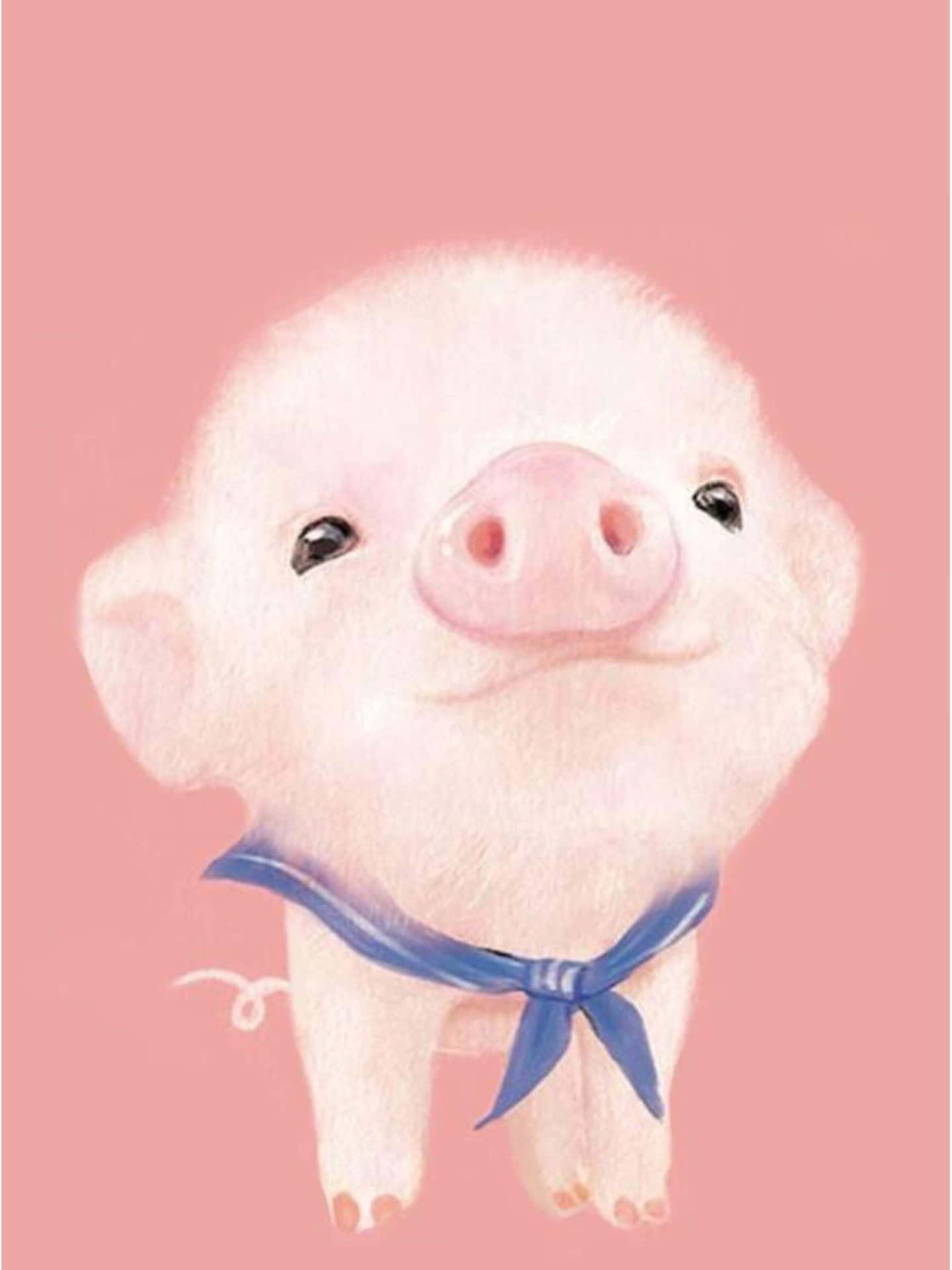 Pig Pictures