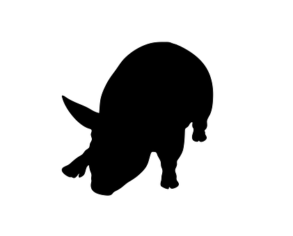 Pig Silhouette Graphic PNG