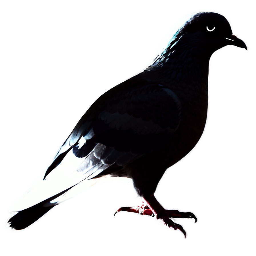 Download Pigeon Silhouette Png 42 | Wallpapers.com