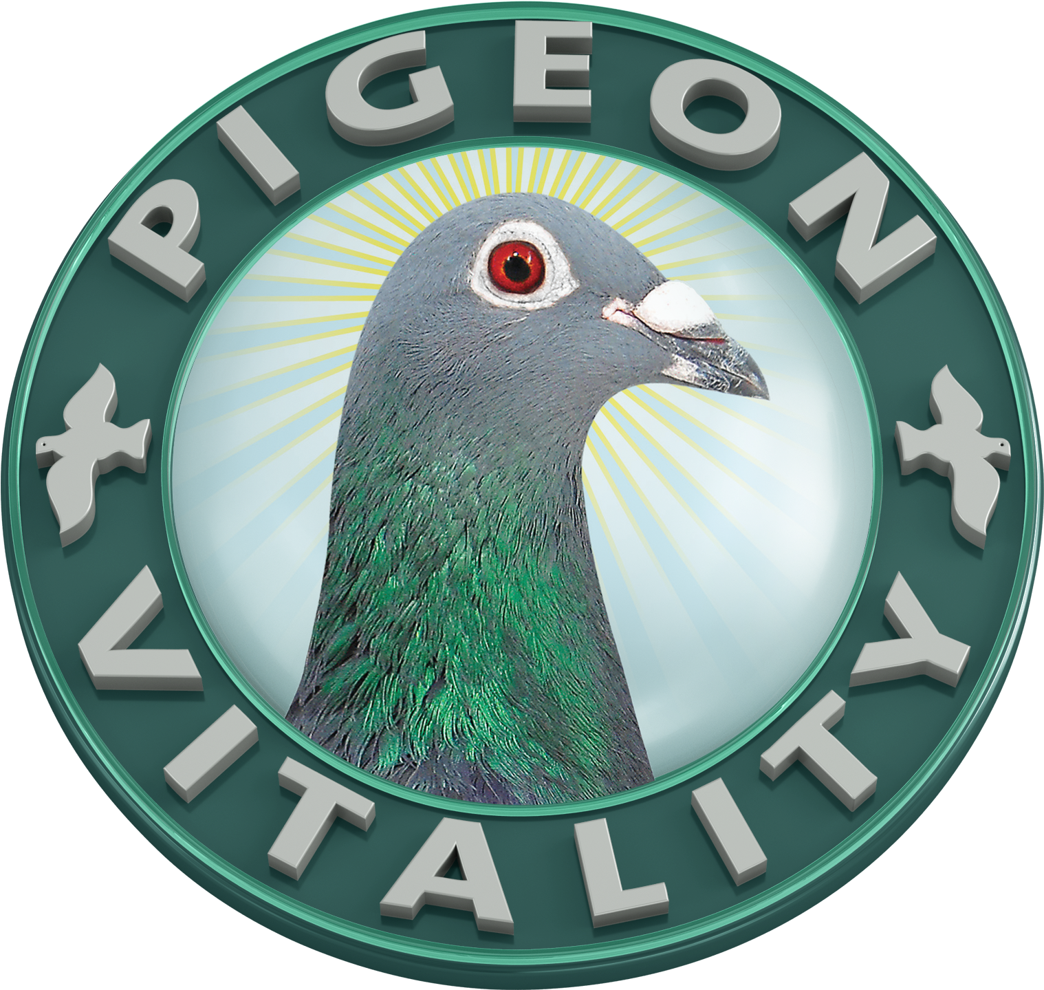 Pigeon Vitality Logo PNG