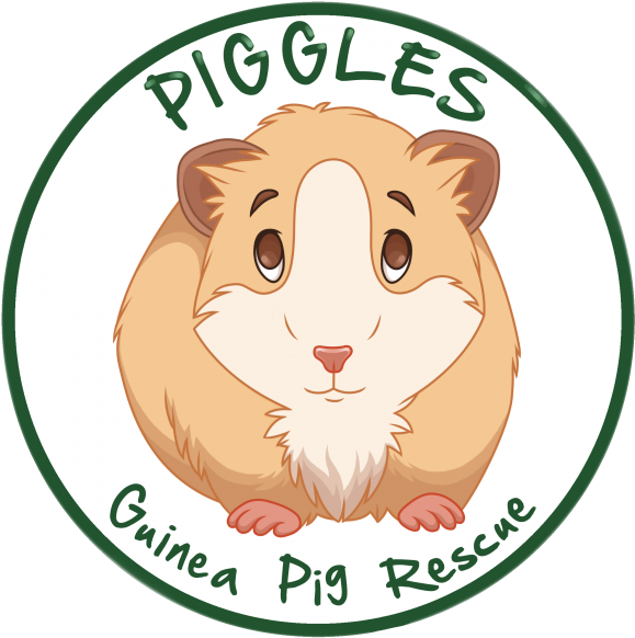 Piggles Guinea Pig Rescue Logo PNG