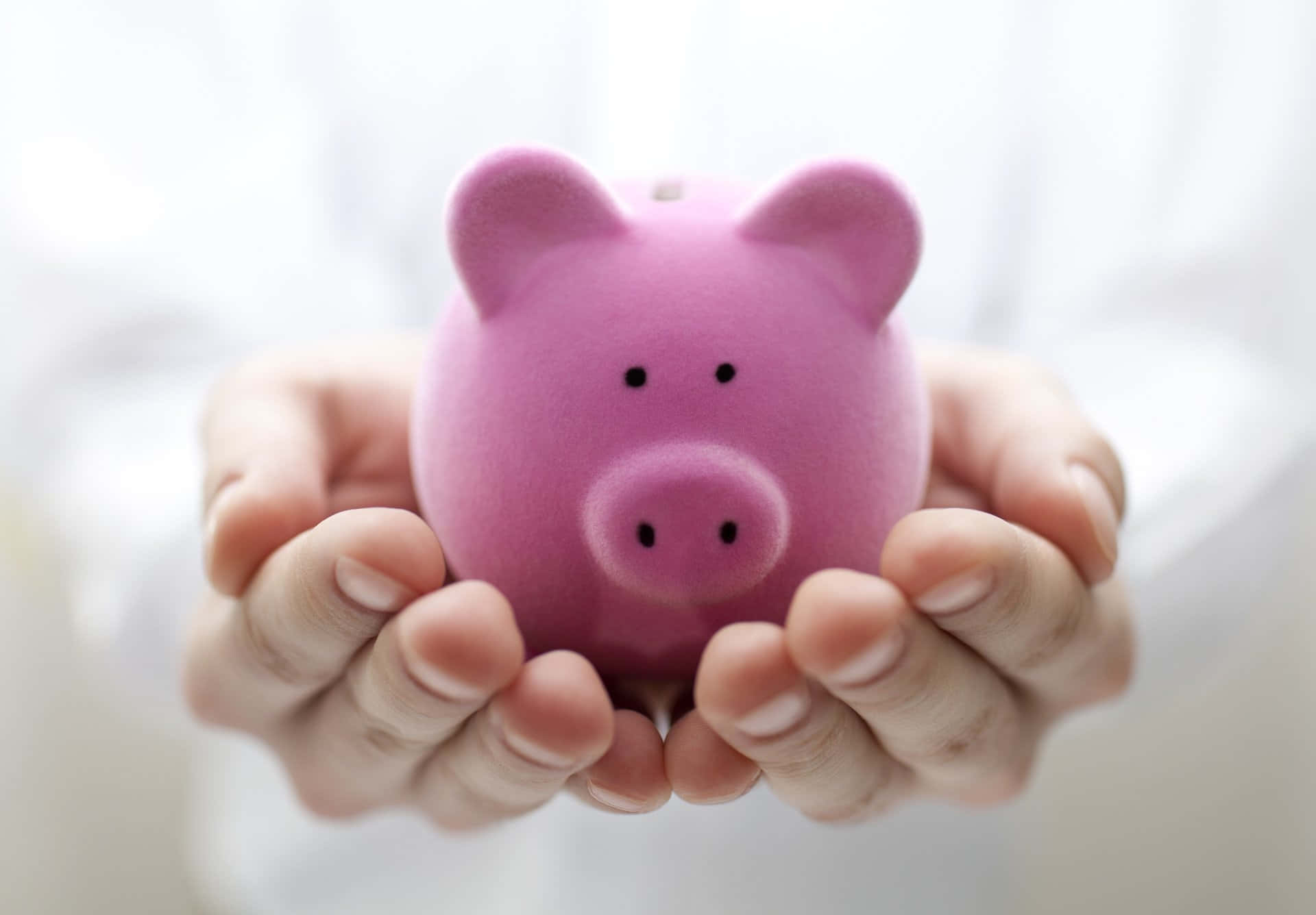 Join The Pig-Story Club To Get Fun Financial Tips