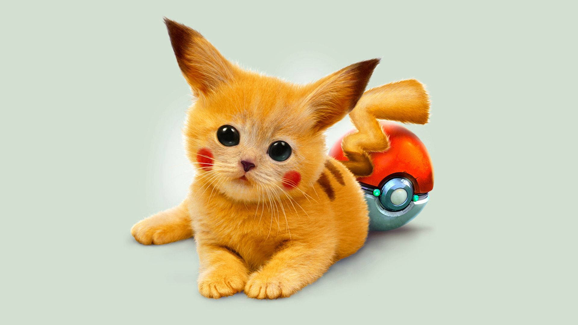 Cute and Cuddly Pikachu Cat Wallpaper
