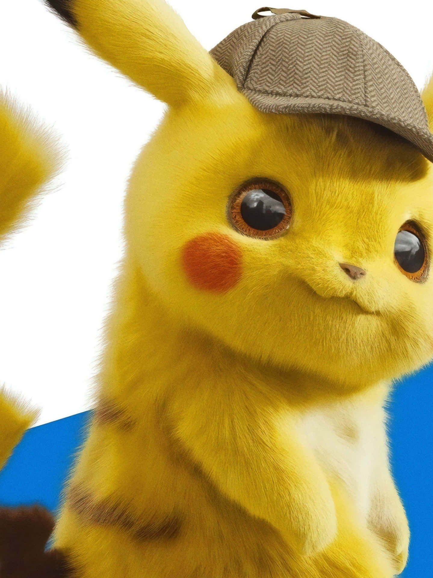 Pikachu With Brown Cap Picture