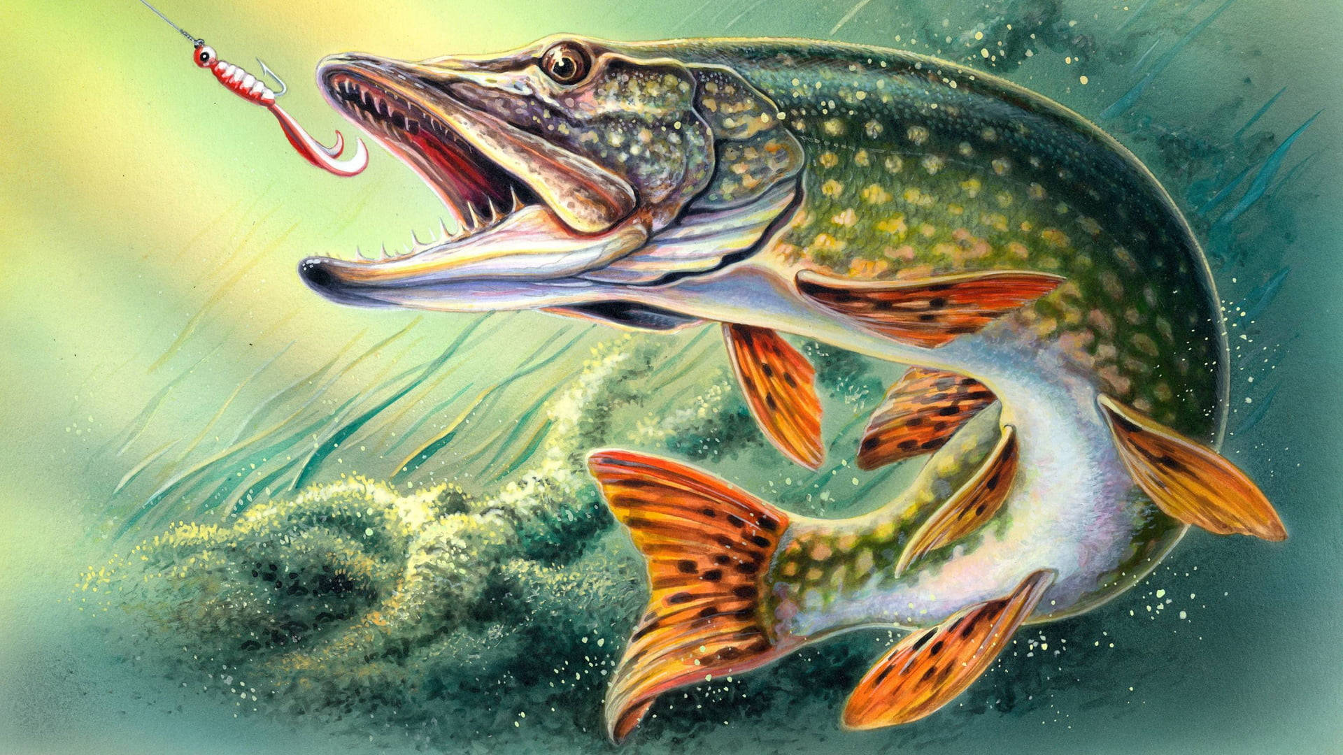Pike Fish Bait Art Wallpaper