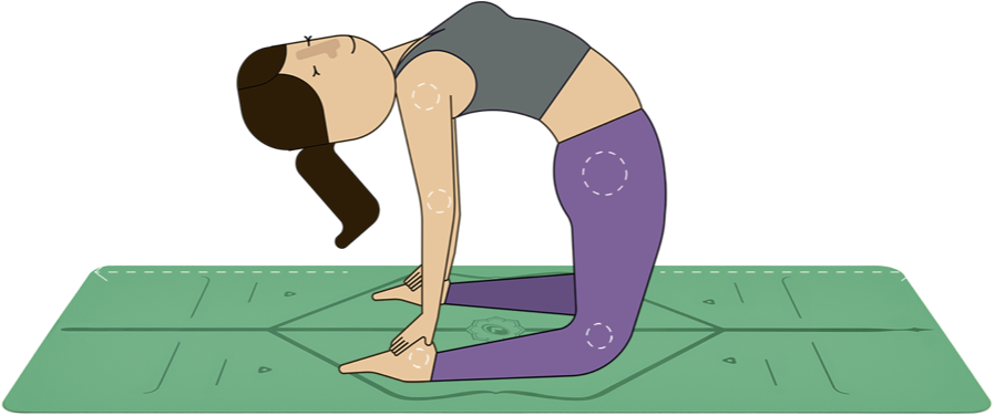 Pilates Camel Pose Illustration PNG