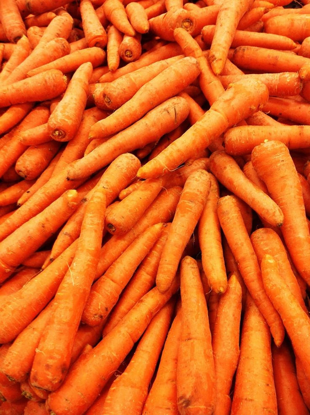 Pile Of Orange Carrots With No Stem Wallpaper