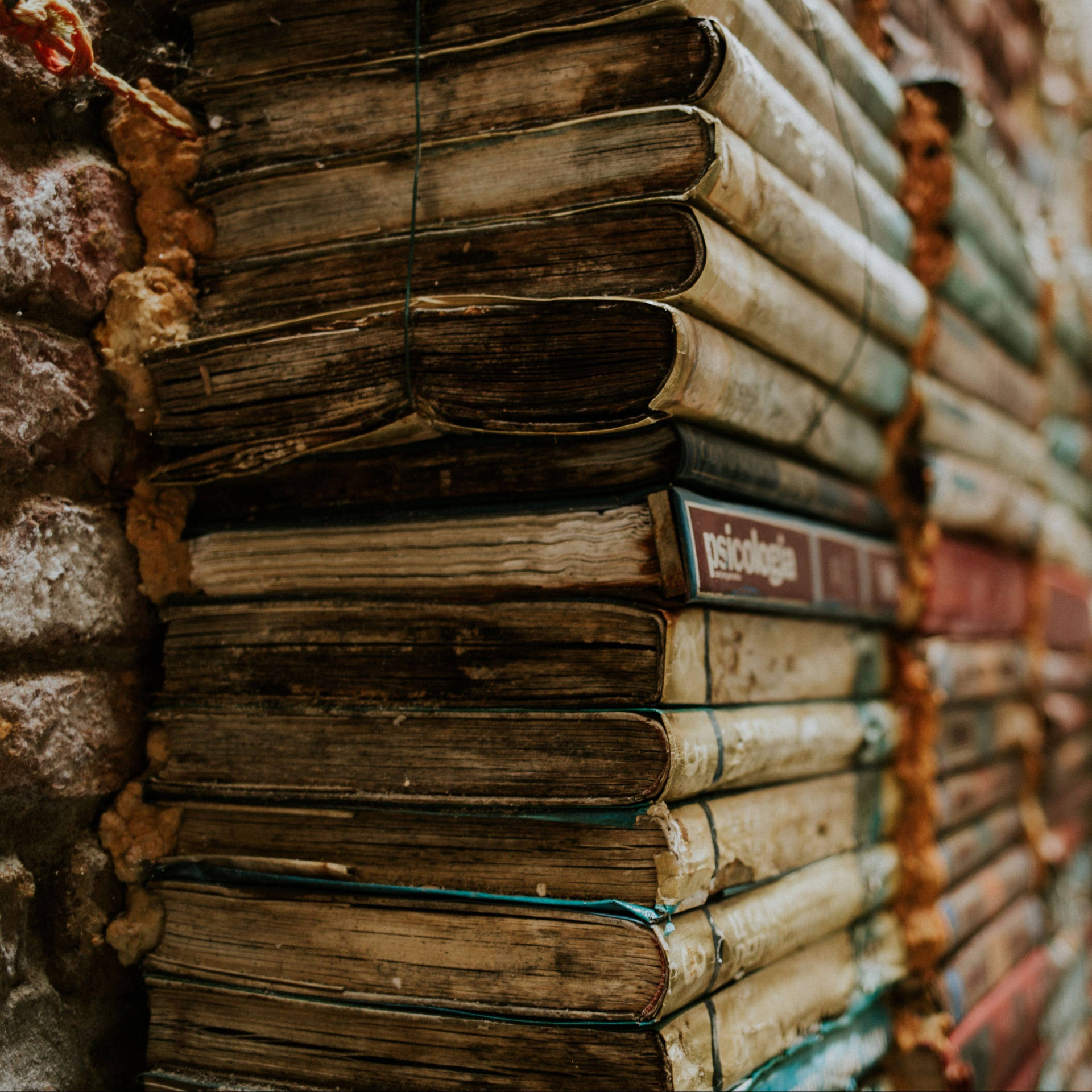 Piled Books With Worn-out Book Cover Library Wallpaper