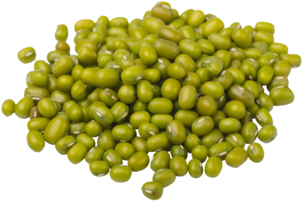 Pileof Green Beans PNG