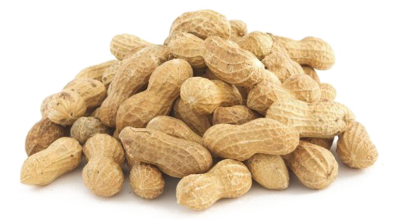 Pileof Peanuts Transparent Background PNG