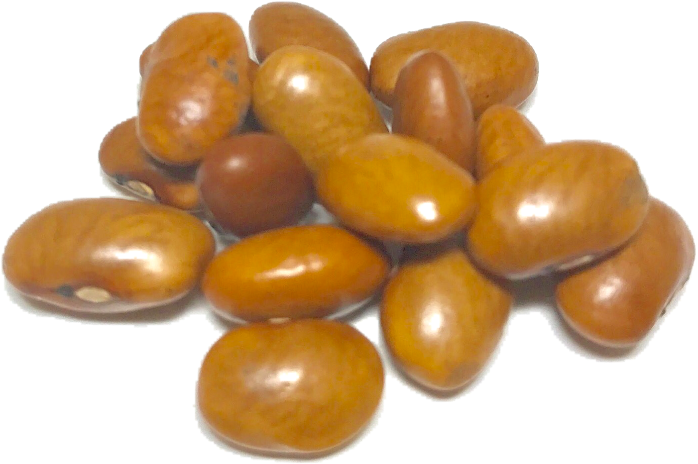 Pileof Raw Peanuts PNG