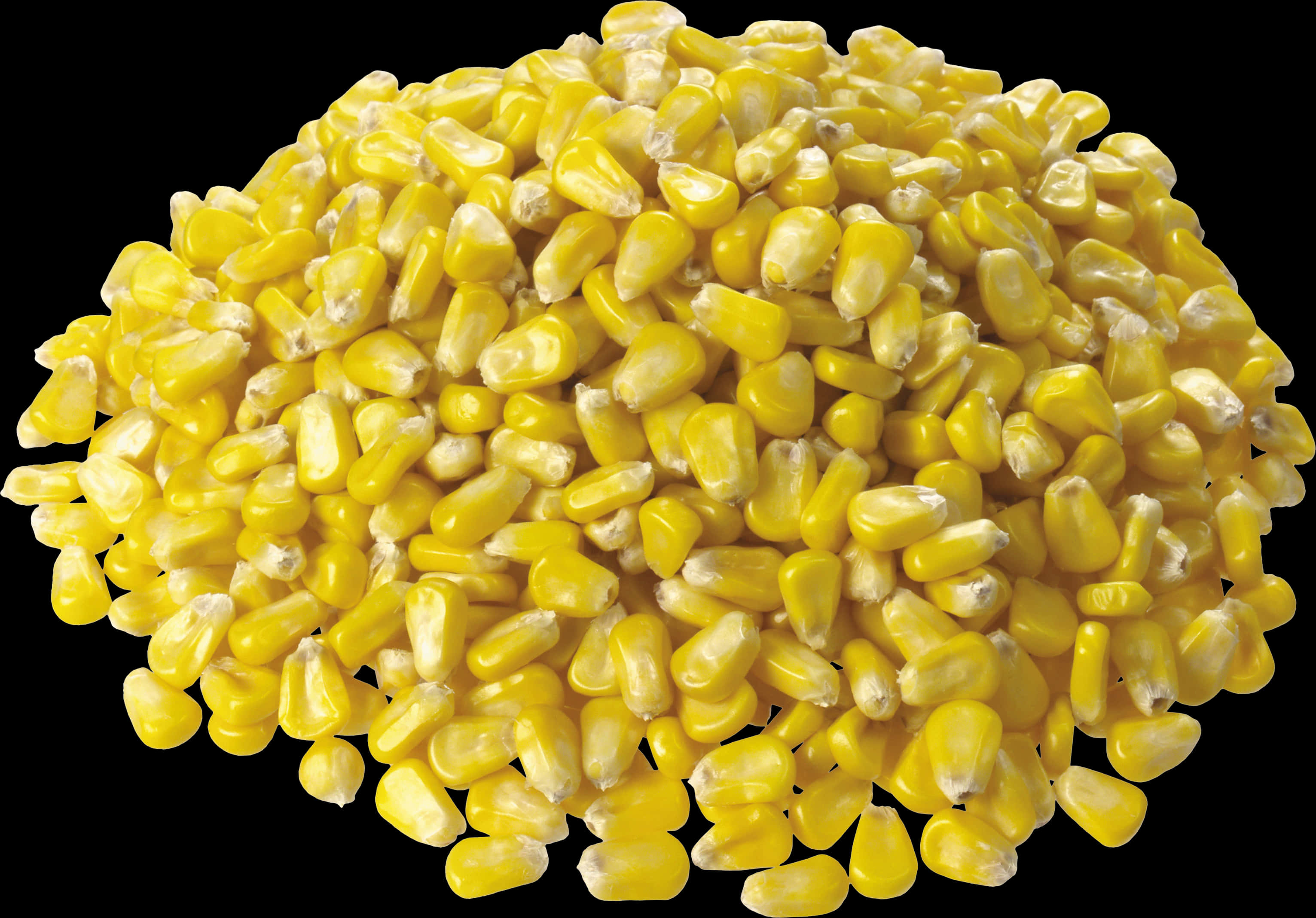 Pileof Yellow Corn Kernels PNG