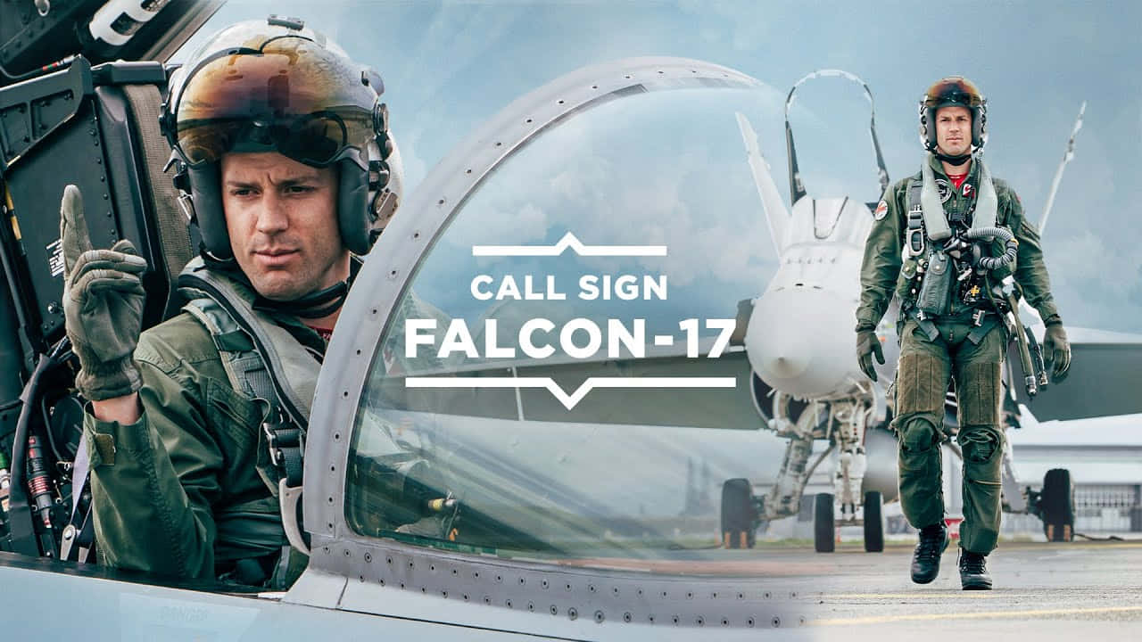 Call Sign Falcon-17 Pilot Picture