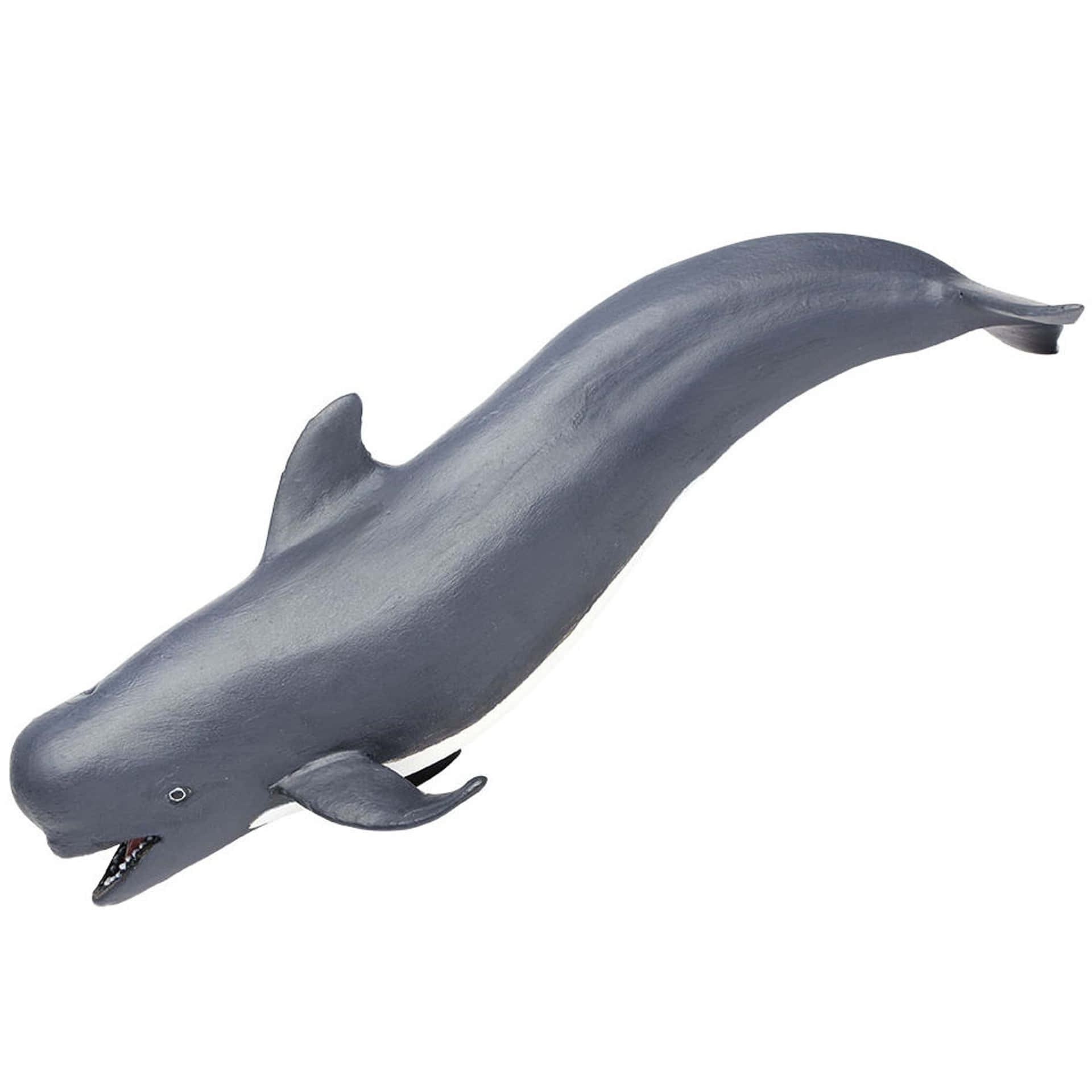 Pilot Whale Figurine Isolated Wallpaper