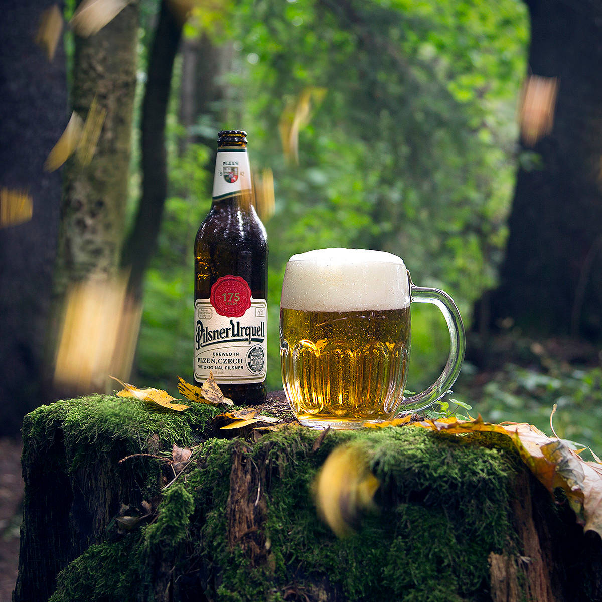 Pilsnerurquell Forest Would Be Translated To 
