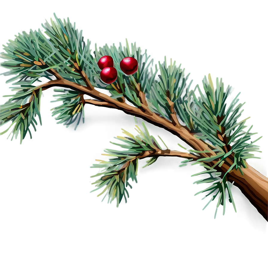 Pine Branch With Cones Png 06132024 PNG