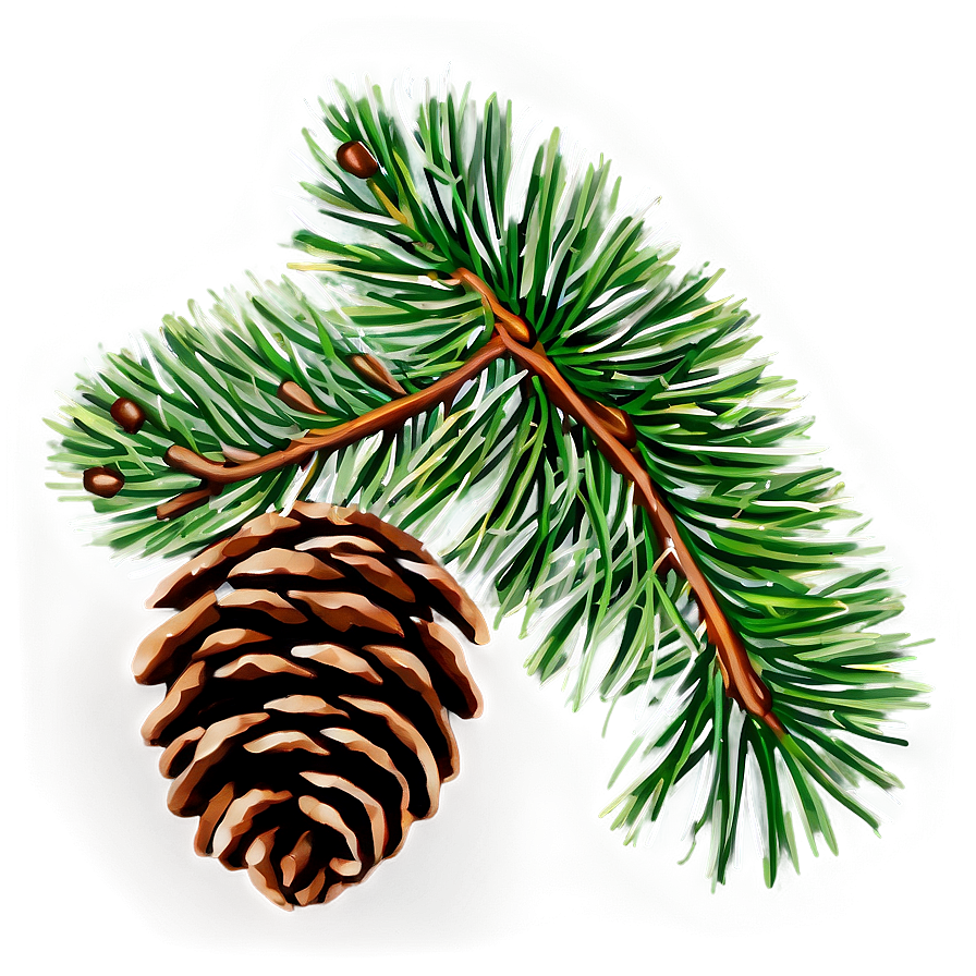 Download Pine Branch With Cones Png Mov95 | Wallpapers.com